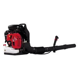 Modelo DBL-BP8000 - Soplador DUCATI - Imagen 1